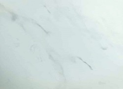 800 x 600 x 4mm - High-gloss White Carrara Marble